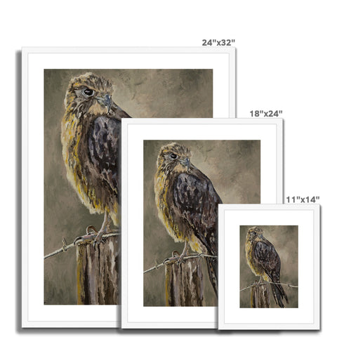 The Falcon Muse Framed & Mounted Print