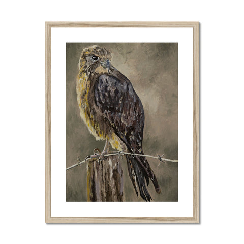 The Falcon Muse Framed & Mounted Print