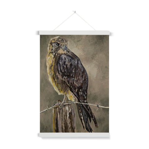 The Falcon Muse Fine Art Print with Hanger