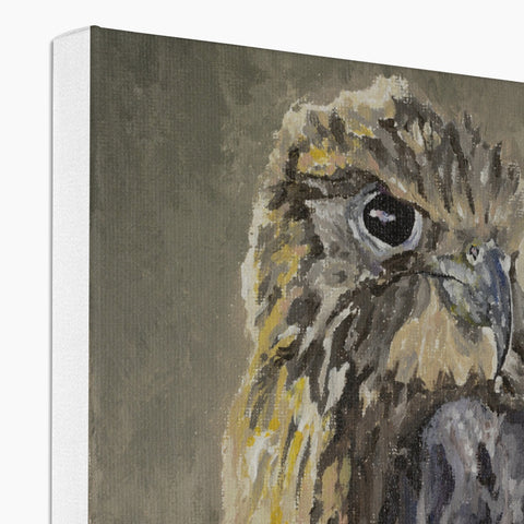 The Falcon Muse Canvas