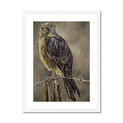 The Falcon Muse Framed & Mounted Print