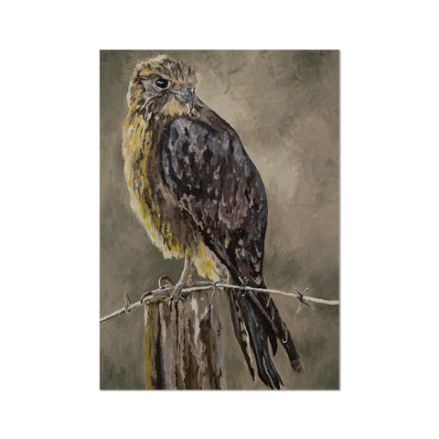 The Falcon Muse Fine Art Print