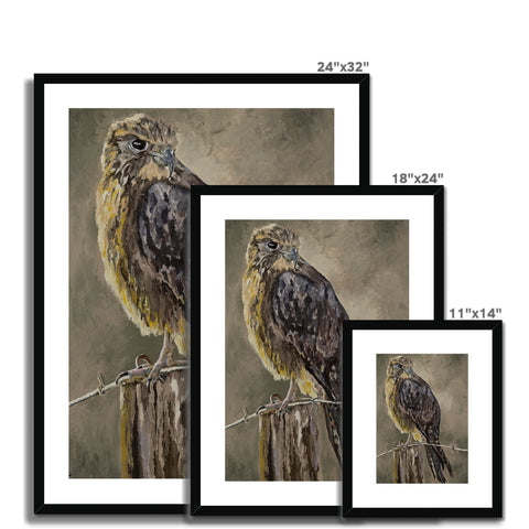 The Falcon Muse Framed & Mounted Print