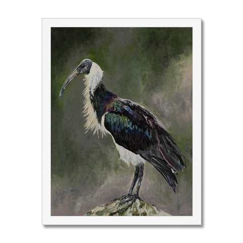 Majestic Melancholy Framed Print