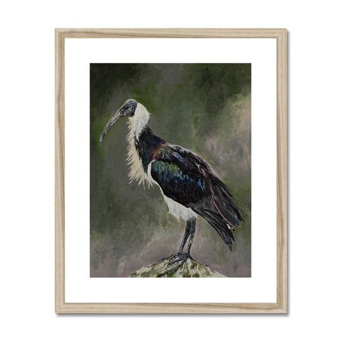 Majestic Melancholy Framed & Mounted Print