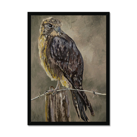 The Falcon Muse Framed Print