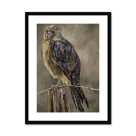 The Falcon Muse Framed & Mounted Print