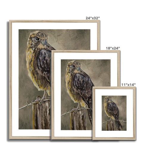 The Falcon Muse Framed & Mounted Print